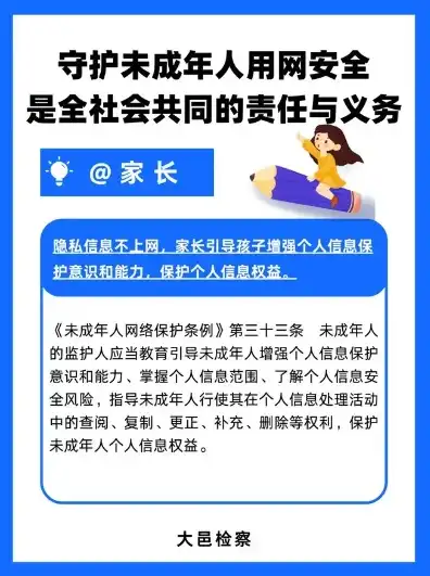 服务器在美国维护受法律保护未满十八岁，美国法律庇护下的未成年网络世界，隐私保护与责任担当