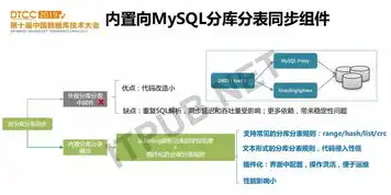 vps中转隧道，深度解析VPS中转隧道搭建，实现高效数据传输的必备技能