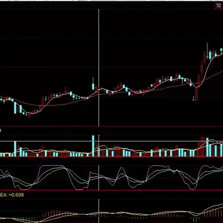 香港idc机房托管价格，香港IDC机房托管价格解析，品质与性价比的完美结合