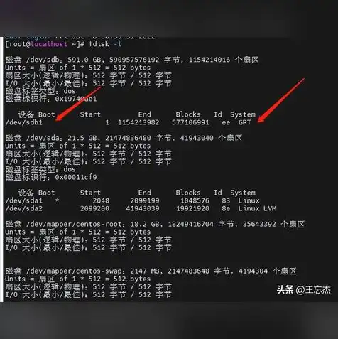 linux虚拟机挂载磁盘，Linux虚拟机硬盘分区挂载指南，操作步骤与注意事项详解