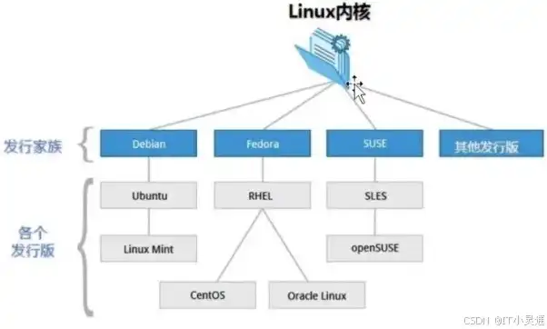 看linux服务器的操作系统的命令，深入解析Linux服务器操作系统，常用命令及操作指南