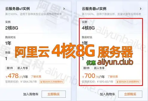 阿里云服务器租赁费多少钱一年，阿里云服务器租赁费用全解析，一年价格揭秘与性价比考量