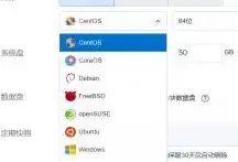 云服务器怎么选系统设置，云服务器操作系统选择指南，全面解析不同场景下的最佳方案