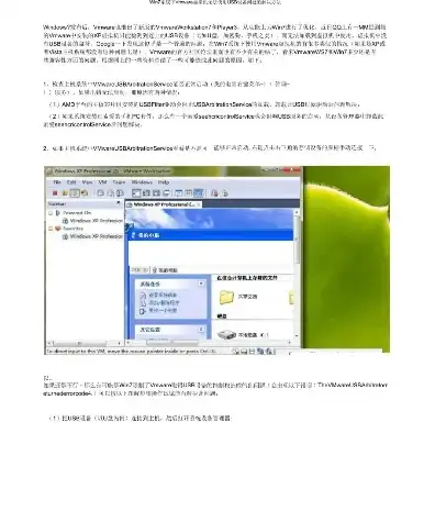 vmware虚拟机usb驱动，VMware虚拟机U盘驱动安装指南，全面解析及常见问题解决