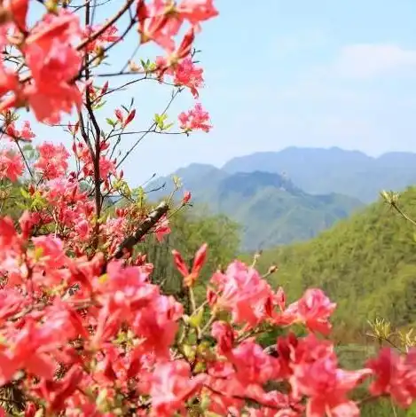 云服务游戏平台官网，云端畅游，无限可能——揭秘云服务游戏平台引领游戏新时代