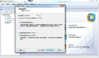 vmware虚拟机中文破解版，VMware虚拟机中文破解版下载百度云，全方位攻略，轻松实现虚拟化体验！