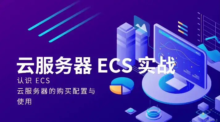 云服务器ecs租用，云服务器ECS租用全攻略，选择、配置与优化指南