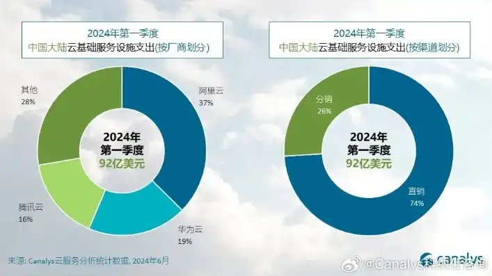 云服务器价格对比2024年，2024年云服务器价格大揭秘，国内外主流云厂商横向对比分析