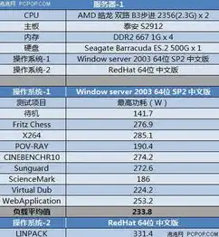 云服务器参数介绍，深入解析云服务器关键参数，性能、稳定性与安全性全方位解读