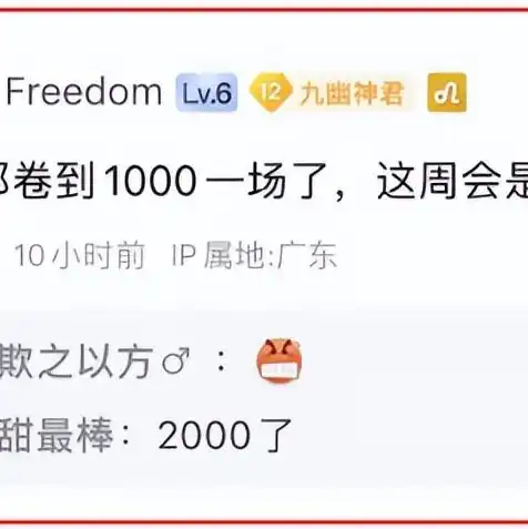 1000人服务器多少钱一个，揭秘1000人服务器价格之谜，全方位解析及选购指南