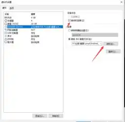 vmware虚拟机中文破解版，深度解析，VMware虚拟机破解版下载及使用指南，助你轻松畅享虚拟化体验！