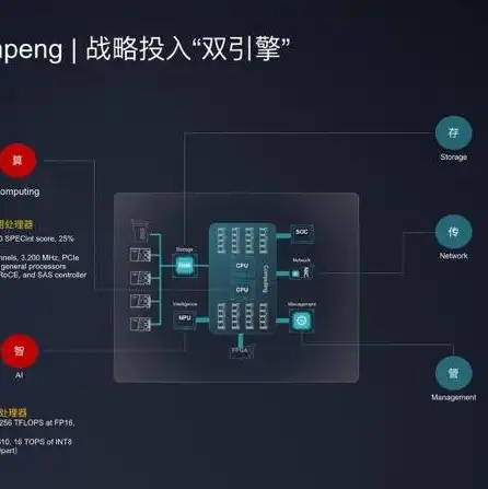 服务器操作系统有哪一些，深入解析服务器操作系统，类型、特点与应用场景全面解读