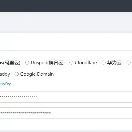 阿里云轻量应用服务器ipv6，阿里云轻量应用服务器IPv6应用实践与优化策略