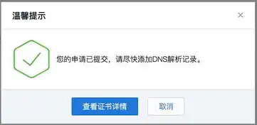 域名注册证书是什么样的，深入解析域名注册证书，了解其性质、用途及办理流程