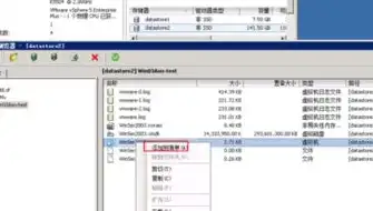 vmware虚拟机迁移到另一台主机上，VMware虚拟机迁移到另一台主机，实战指南与注意事项