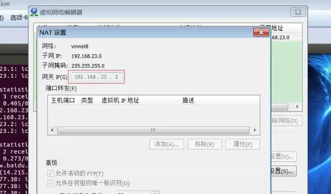 虚拟机nat怎么配置，深入解析VMware虚拟机NAT配置方法及步骤详解