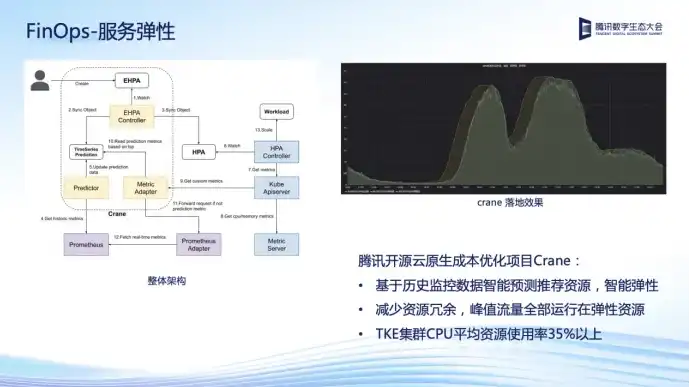 云服务器 chip-seq，云服务器Chia在Chip-seq数据分析中的应用及优势探讨