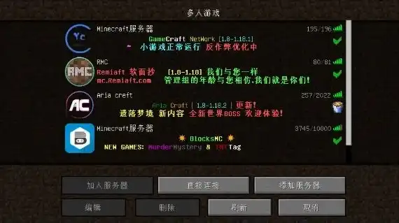 我的世界java布吉岛服务器怎么进去，深入探索，如何轻松进入Minecraft Java版布吉岛服务器，开启奇幻冒险之旅！