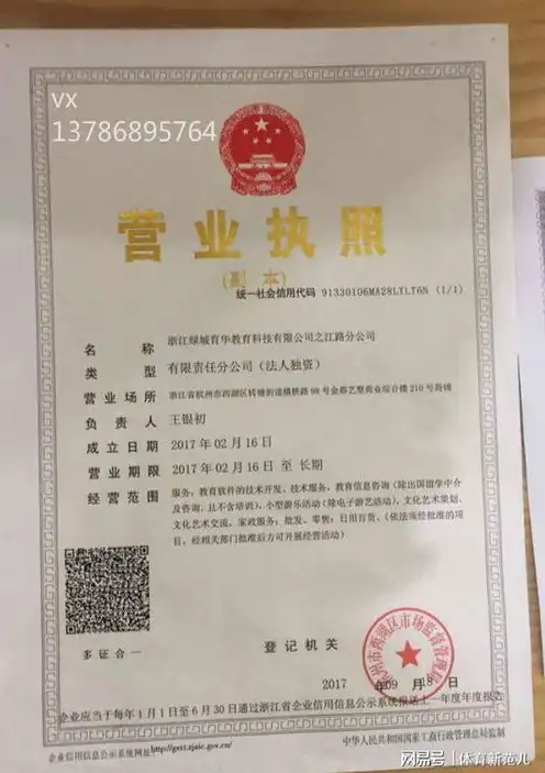 营业执照怎么注册域名账号，营业执照注册域名的详细步骤与注意事项