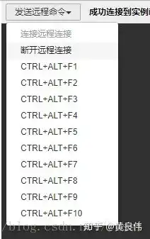 阿里云服务器操作教程，阿里云服务器从入门到精通，全面操作教程详解