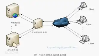 网络服务器功能概述，网络服务器核心功能解析，构建高效网络世界的基石