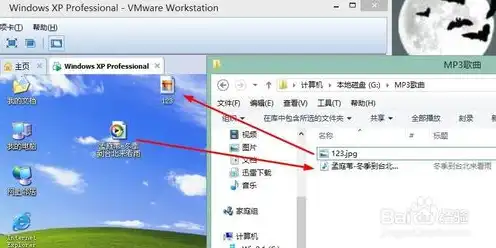 虚拟机中拷贝文件，深入解析VMware虚拟机文件拷贝技巧及高效操作指南