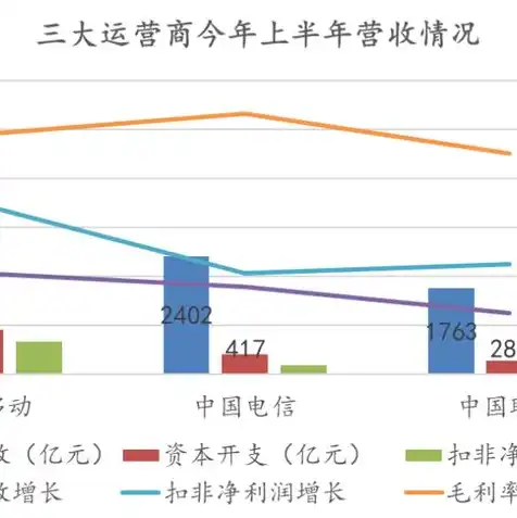 中国的运营商的服务器有哪些名称和地址，揭秘中国运营商服务器名称及地址，揭秘网络世界背后的神秘力量