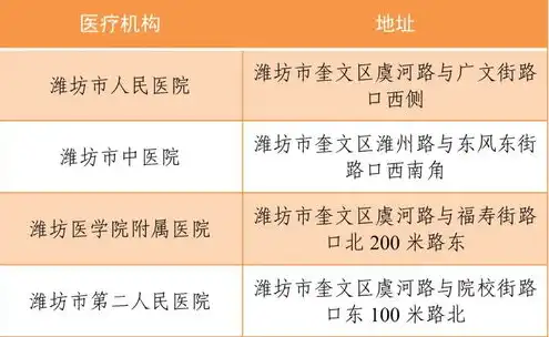 云手机的服务器地址是什么，揭秘云手机，服务器地址及其重要性与使用方法详解