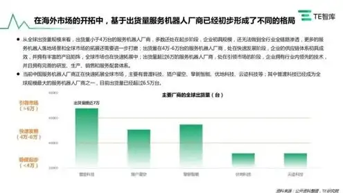 网站服务器提供商名称是什么，瑞云网络——引领行业发展的领先网站服务器提供商