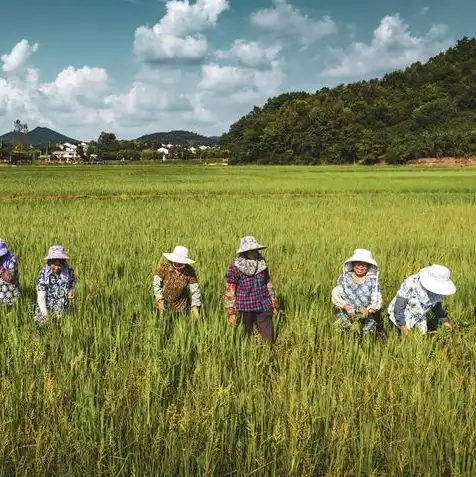 1000元左右迷你主机推荐，2023年1000元左右迷你主机推荐，性能卓越，体积小巧，性价比之王