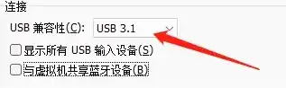 vm虚拟机USB绿点蓝点是什么，深入解析VM虚拟机USB绿点蓝点之谜，功能、原因及解决方法