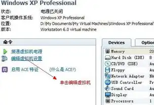 vmware16安装xp系统，VMware 16 Pro虚拟机安装Windows XP系统详细教程及注意事项