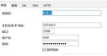 阿里云的轻量服务器怎么连接，阿里云轻量服务器连接攻略，轻松入门，高效运维