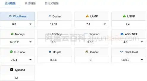 云服务器分为哪几种类型，云服务器分类详解，深入剖析不同类型的云服务器及其应用场景