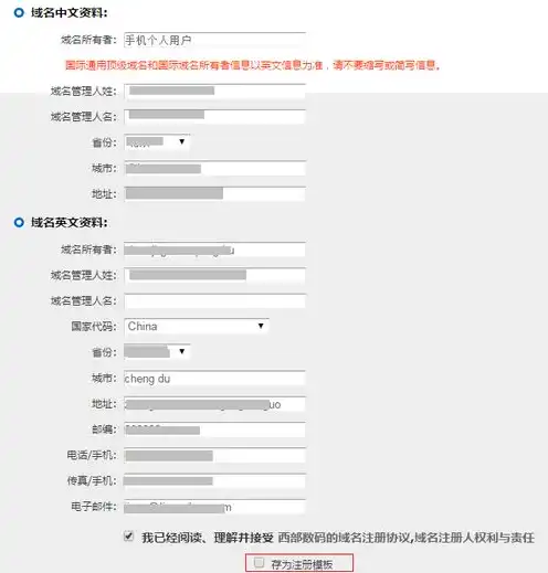 俄罗斯域名注册中心，俄罗斯域名注册，全面解析注册流程、注意事项及优势