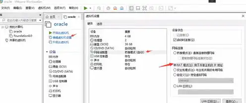 虚拟机网络怎么设置好，深入解析虚拟机内外网络畅通配置技巧