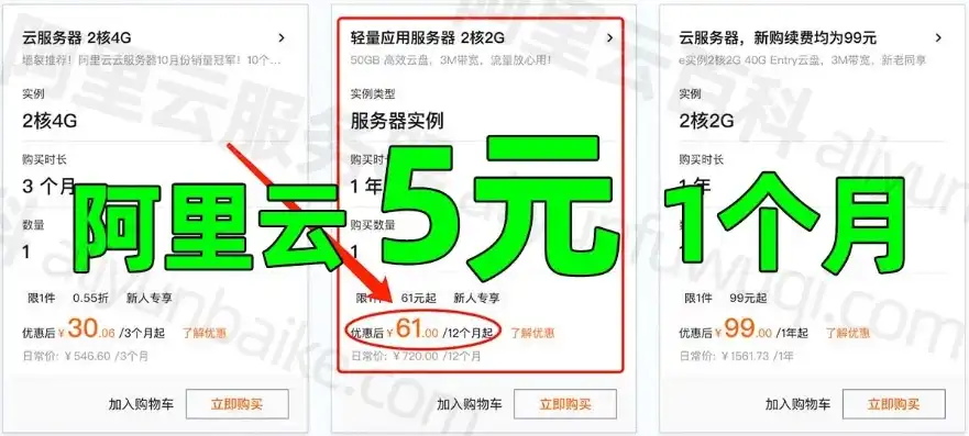 阿里云服务器怎么购买便宜，阿里云服务器购买攻略，教你如何以最划算的价格入手优质云服务