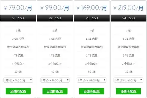 vps主机租用价格，全方位解析VPS主机租用价格，助您轻松选择优质服务