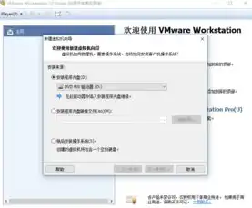 虚拟机共享磁盘同步不了，深入剖析虚拟机共享磁盘同步难题及解决方案