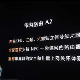 服务器对带宽有什么要求吗，服务器带宽要求详解，如何确保高效稳定的网络环境