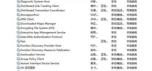 aws网络服务器，AWS内网域名服务器配置详解，实现高效稳定的内部网络访问