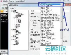 阿里云服务器租用价格表，2023最新阿里云服务器租用价格表详解，全面解析性价比与配置选择