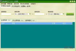 域名注册官方网站查询入口下载，全面解析域名注册官方网站查询入口，掌握域名注册技巧，轻松获取心仪域名