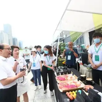 阿里云服务器如何购买，阿里云服务器购买指南，轻松上手，实现高效云上部署