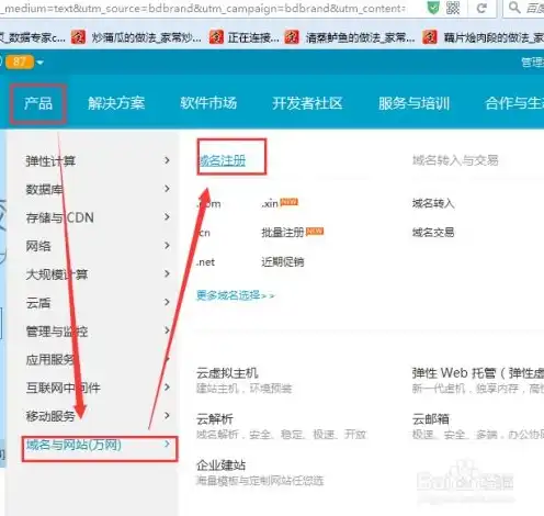 阿里云域名抢注成功率多少，揭秘阿里云域名抢注成功率，成功率几何？抢注策略大揭秘！