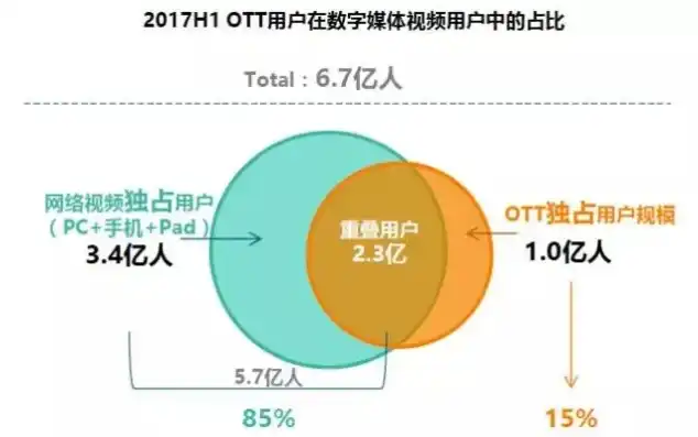 深度解析VPS主机，性能、性价比与选择指南