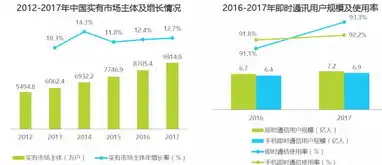 云服务怎么赚钱最快，云服务行业快速盈利模式解析，揭秘云端商业奇迹之路