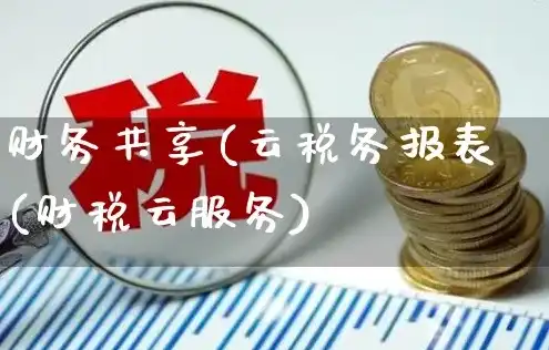 云服务税点，云服务器税率详解，全面解析税收政策与实际应用