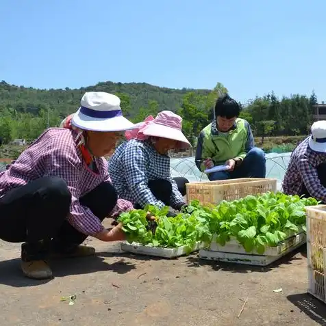 wps云服务是干什么的，WPS云服务，全面解析其功能与优势，带你领略云端办公的魅力