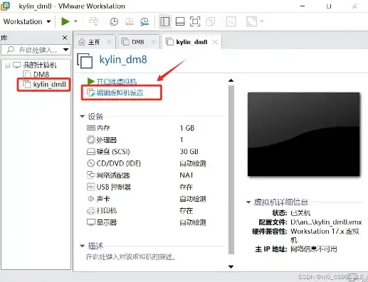 银河麒麟安装vmware，银河麒麟操作系统下安装VMware虚拟机教程及详细步骤解析